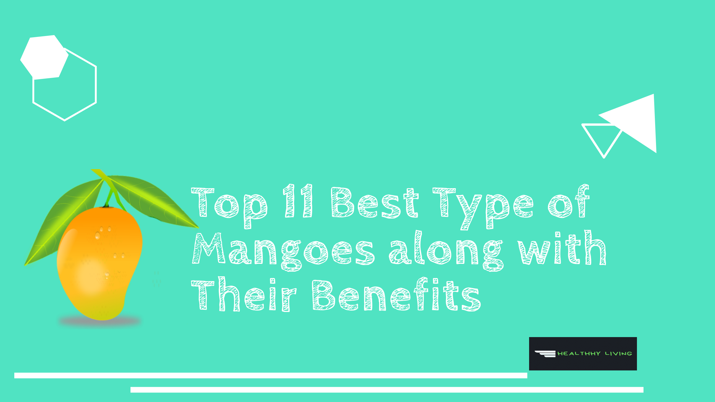 mango fruit types