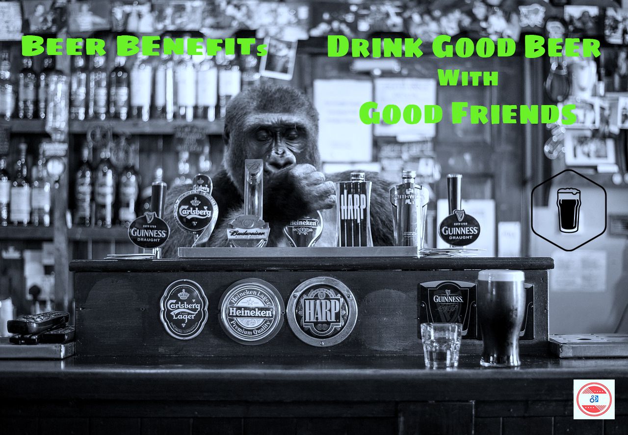 Benefits-Of-Beer